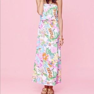Lilly Pulitzer nosey posey maxi dress